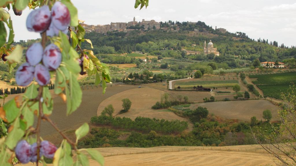 Agriturismo Villa Mazzi Montepulciano Luaran gambar